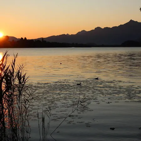 Brigitte フュッセン